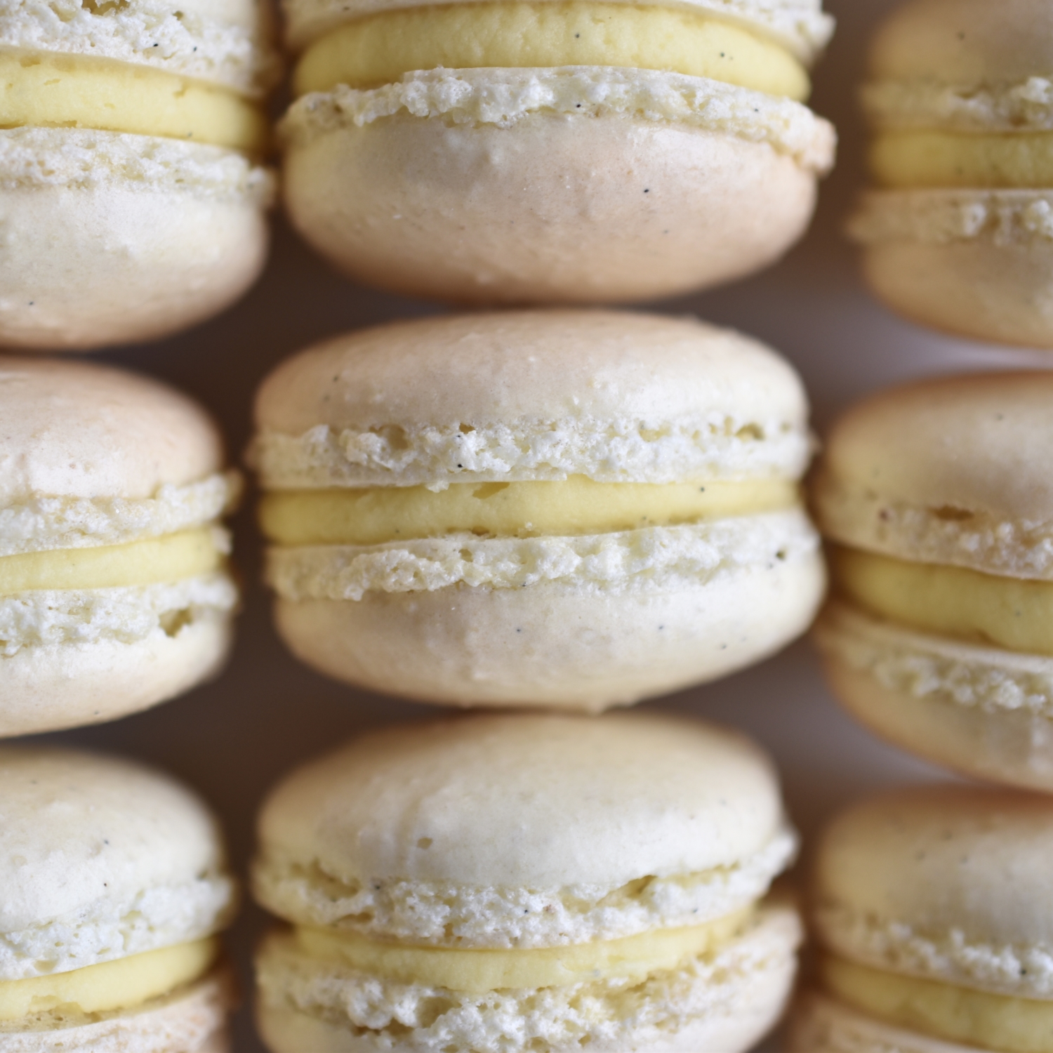 FLAVOR COLLECTIONS - Le Bon Macaron