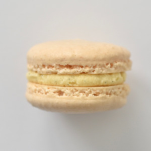 Vanilla French macaron featuring cream macarons shells filled with a vanilla bean buttercream.