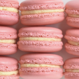 Jasmine macaron, featuring pink macarons shells and jasmine buttercream