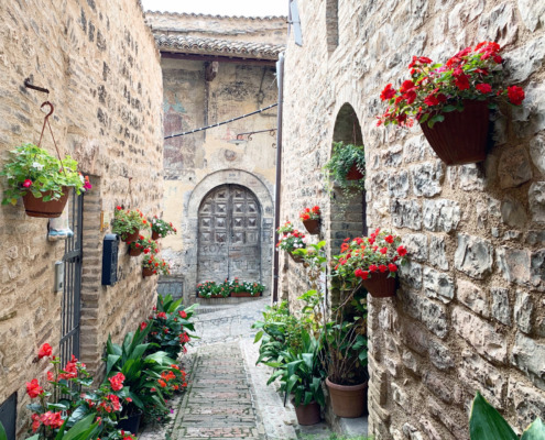 Cobblestone streets in Spello filled with flowers