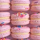 Pink French macarons topped with rainbow sprinkles, filled with a sugar cookie buttercream.
